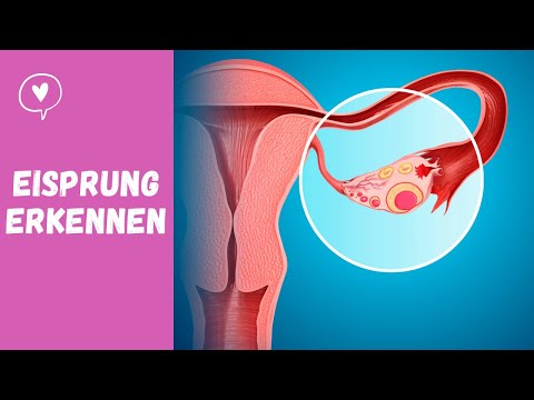 Video: Wann solltest du deinen Eisprung haben?