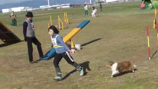 20171202JKC大阪カップAG2 まれ