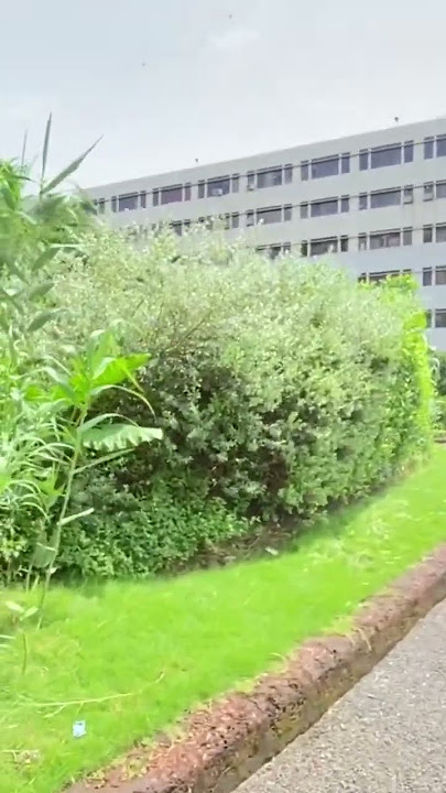 ￼Somaiya hospital soin