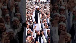 👑👑bahut Bhari Jalsa hai 🤲🤲 #youtubeshorts #15august #trending #shortvideo #viral #viralvideo