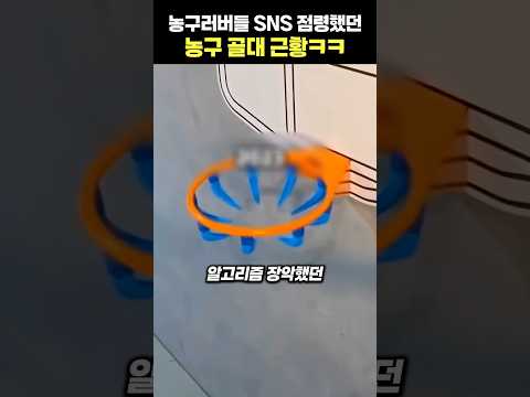 농구러버들 SNS 점령했던 농구 골대 근황ㅋㅋ