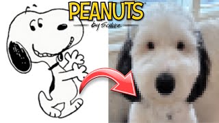 PEANUTS in Real Life Characters