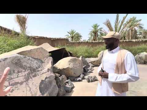 الافتتاح التجريبي لمزرعة المستظل وبئر عذق بجوار مسجد قباء بعد إعادة تطويرها