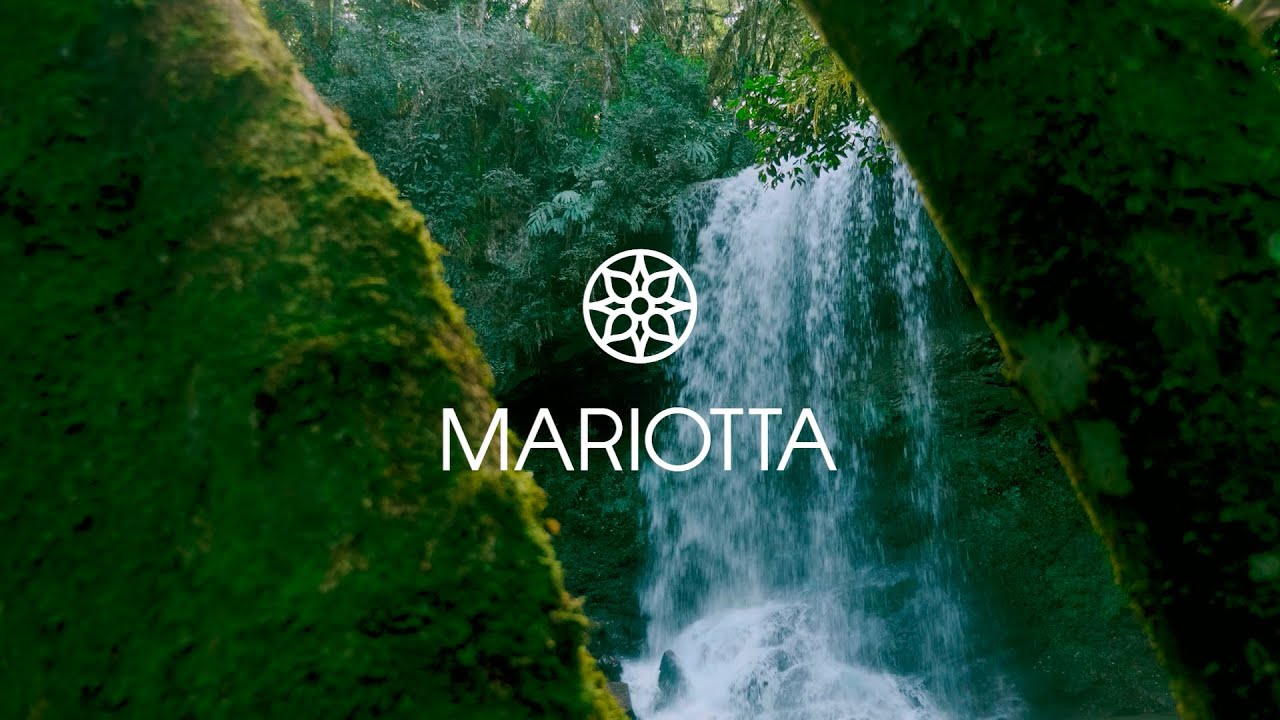 calçados mariotta 2019