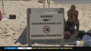 Long Island lifeguard attacked by shark speaks exclusively to CBS2