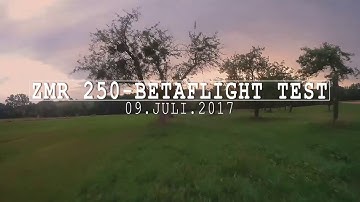 ZMR 250 mit Betaflight Test