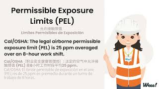 Ammonia Training