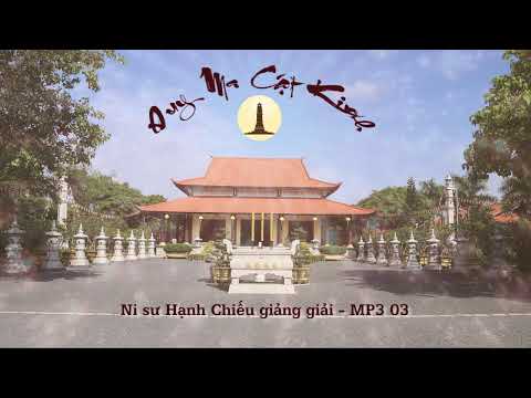 Video Kinh Duy Ma Cật Mp3 03 - Ni sư Hạnh Chiếu giảng giải - youtube