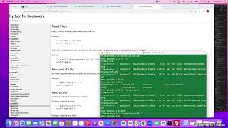 Python Lesson 9 Net Worth