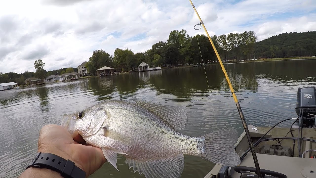 mr perry jigs