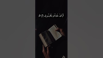 تلاوة قصيرة بصوت الشيخ : ماهر المعيقلي