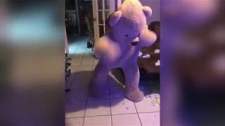 Teddy Bear Scare Prank