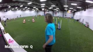 Miniature Bull Terrier Club Of America Akc Agility Trial, June 6 & 7, 2015