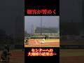 観客が響めく大飛球…Mr.ドラ愛がプロスタジアムで #野球 #バッティング #名も無き野球部 #ホームラン #プロ野球