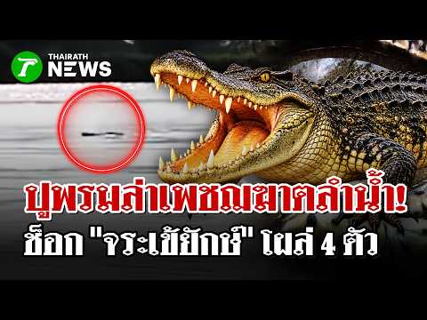 Manhunt for Predators! 4 Crocodiles Escape Floodwaters, Terrorizing Locals | Oct 15, '26 | Thaira...