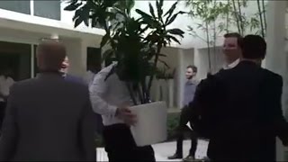 Marc Bergevin avoids interviewers with tree (FUNNY)