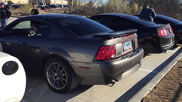 Cammed Mustang Mach 1 Loud Rev!