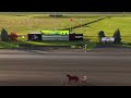 Woodbine Mohawk Park Qualifiers