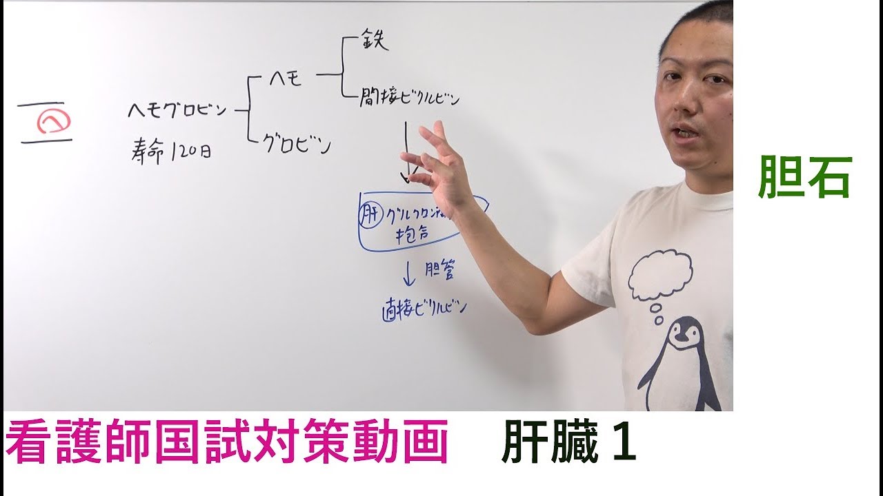 看護師国家試験対策動画 肝臓1 胆石 ペンクタンク Youtube 看護師国家試験対策動画 肝臓1 胆石 ペンクタンク Youtube