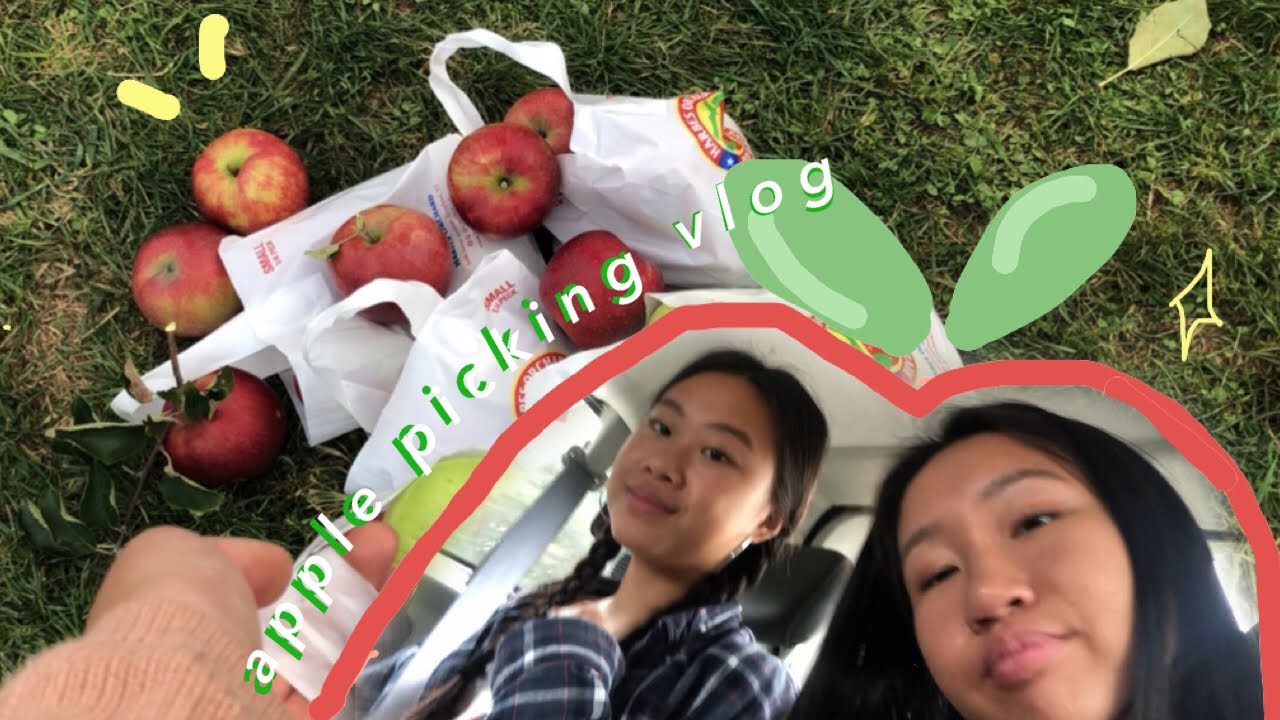 apple picking vlog 🍎