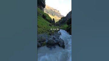 سورة فاطر"مَا يَفْتَحِ اللَّهُ لِلنَّاسِ مِنْ رَحْمَةٍ فَلَا مُمْسِكَ/  #القرآن #المنشاوي