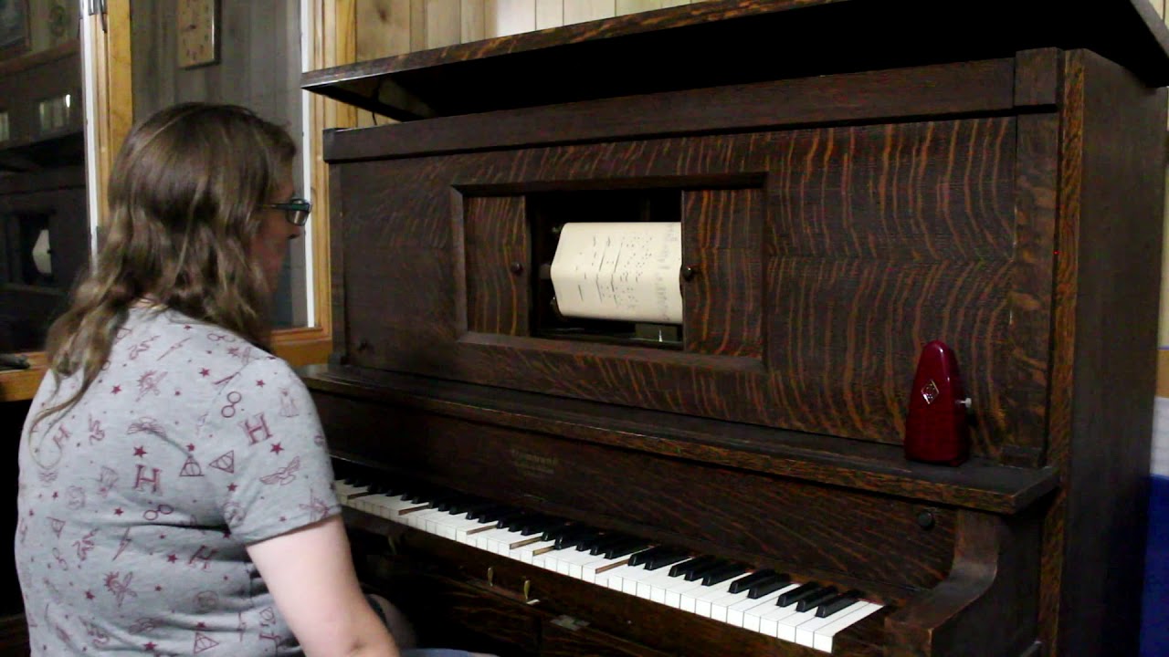 steamboat willie lepin Turkey In the Straw - Steamboat Willie Tune - Supertone #3015