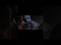 WoW’s Anakin &amp; Obi-Wan Moment #worldofwarcraft #wowclassic #wow