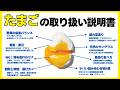 【完全ガイド】最強の食品!体が激変する「たまごの究極の食べ方」
