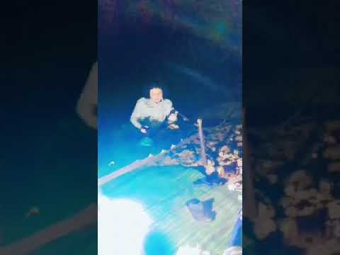 قصيدة الشاعر محمد الجرب رحلت عن دارك وأنا خاطري فيك