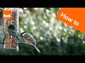 How to encourage birds into your garden