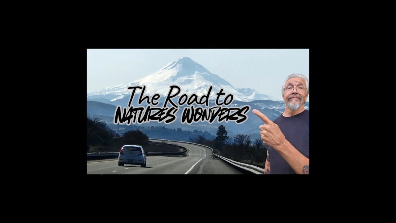 SCENES FROM THE BEACH , LONG BEACH  WA.   