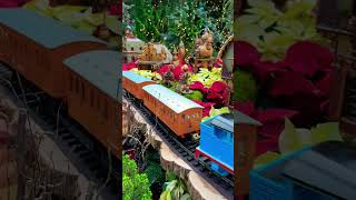 Mini trains spotted😍 #christmas #singapore #flowerdome