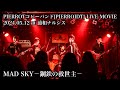 MAD SKY-鋼鉄の救世主-(PIERROTコピー)