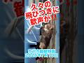 今日の12時ご飯はサル山で食べました🐒 【2026年7月10日】　#がんばれパンチ #市川市動植物園 #ニホンザル #オランママ # #punch #animalshorts #shorts