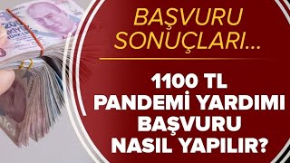 1100 TL SOSYAL YARDIM ÖDEMELERİ BAŞLADI. KOLAY BAŞVURU VİDEOSU