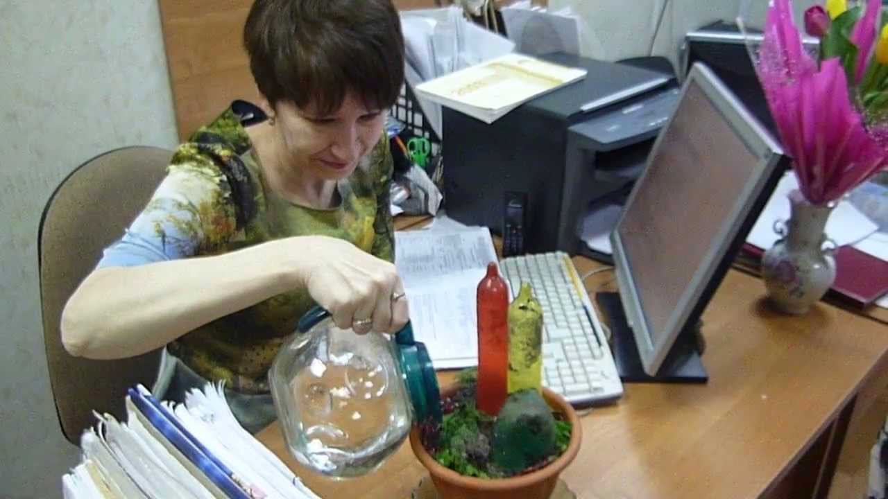 Выбираем подарок на день рождения коллеге Подарок коллеге женщине - Миллион Подарков