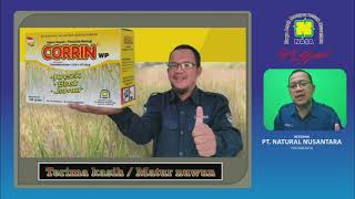 PENTINGNYA CORRIN NASA // Agens Hayati Pencegah Hama Jamur, Kresek Dan Blast - Order 0813 2600 3577