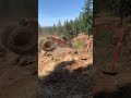 Mid engines are good for wheelies!