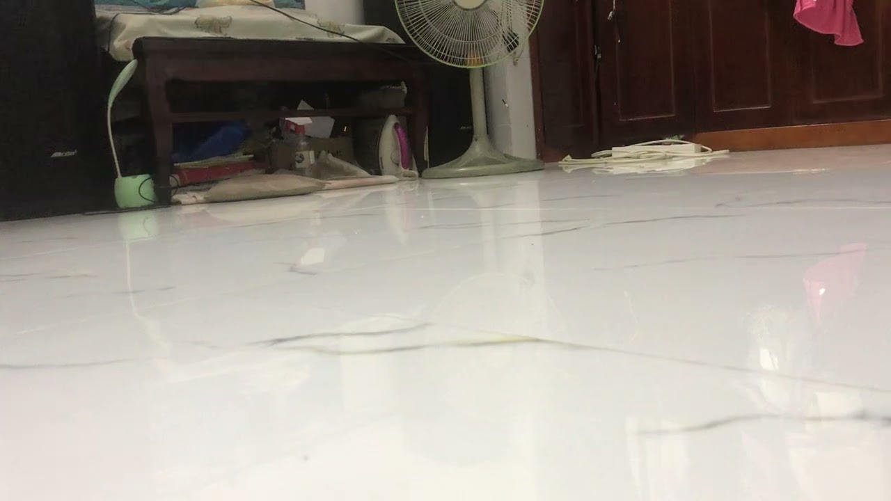 Pbs 1984 logo bloopers