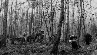A folk horror fairy tale about the British people's relationship to...