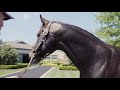 Tours at Jonabell Farm in Kentucky