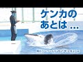 ケンカの後は・・・ランちゃん＆トレーナーさん【2021年9月27日13:00ショー終了後】Orca performance, Kamogawa Sea World, Japan