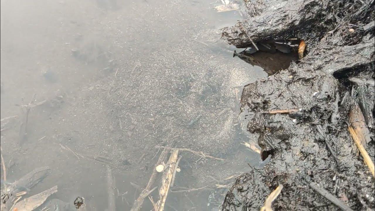 Рождение родников. Донецкий Родник с водой. Холодная ли вода в Родниках.