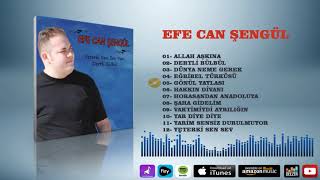 Efe Can Şengül  -  Gönül Yaylası Resimi