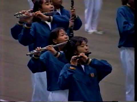 1996年東海大会