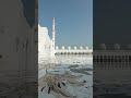Abu Dhabi (U.A.E.) - Sheikh Zayed Grand Mosque 2023