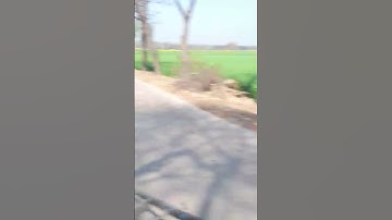 built different song status sidhu moose wala #shortsvideo #shortvideo #shorts #short