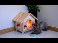 I BUILT A $20,000 DREAM CAT HOUSE!!