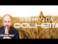 O TEMPO DA COLHEITA