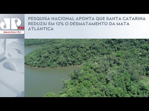 PESQUISA NACIONAL APONTA QUE SANTA CATARINA REDUZIU EM 12% O DESMATAMENTO DA MATA ATLÂNTICA